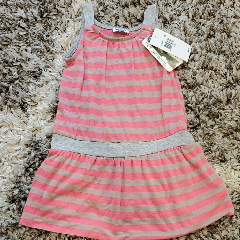 Splendid Striped Dress